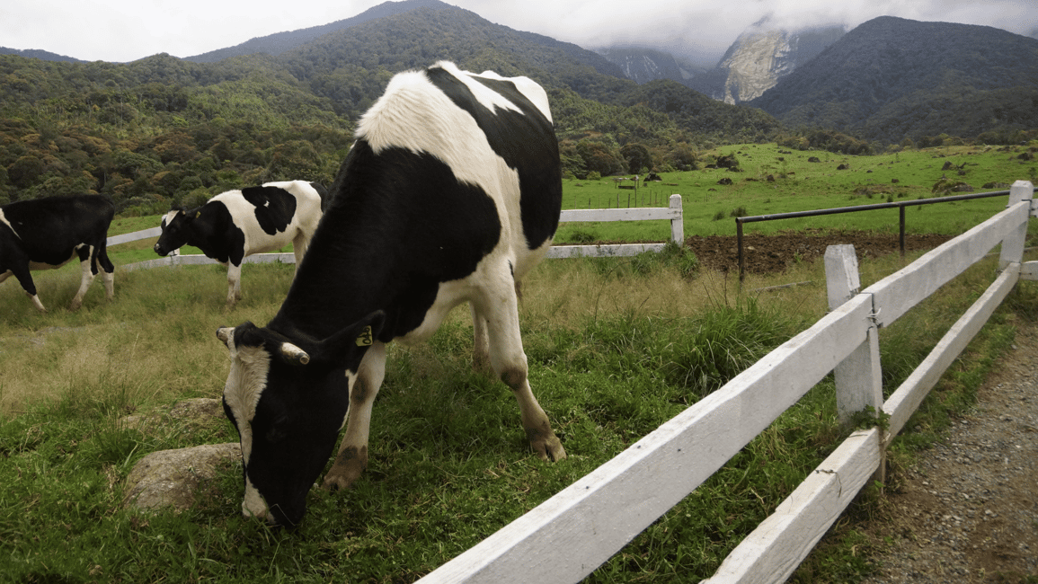 billede nr.5 af aktiviteten Sabah: Dagstur i Kundasang-naturen i Kota Kinabalu, uploadet af udbyder