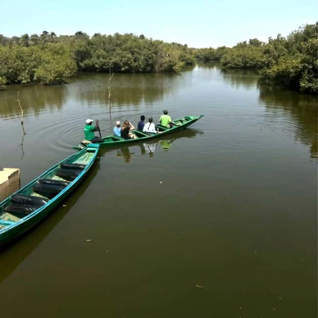 image n.2 of Discover Janjanbureh: A Journey to Gambia’s Historic Heart activity in Central River, uploaded by supplier