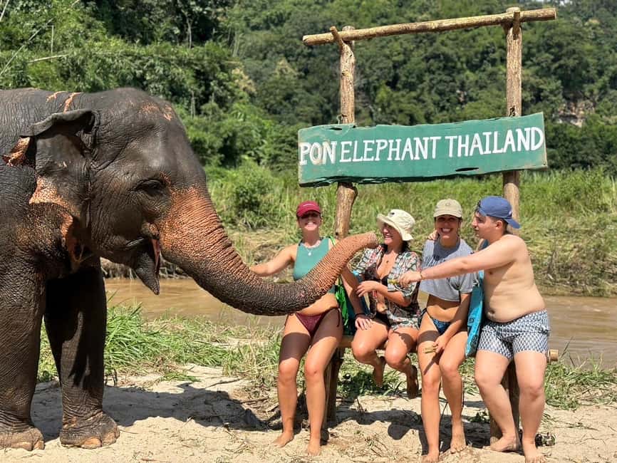 image n.3 of Chiang Mai: Elephant Sanctuary, Waterfall & Bamboo Rafting activity in Chiang Mai, uploaded by supplier