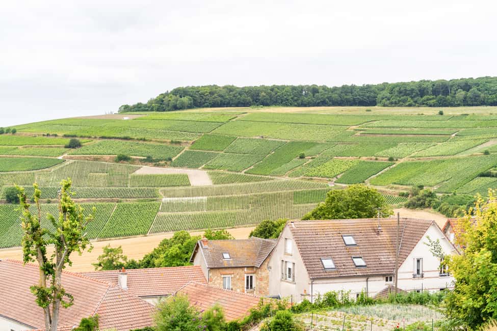 imagem n.28 de De Paris: Viagem de 1 dia para Champagne com 8 degustações e almoço atividade em Reims, carregada pelo fornecedor