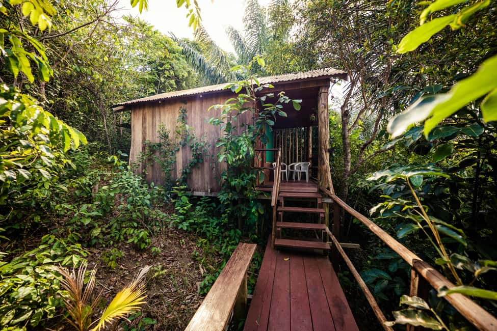 imagen n.º 12 de Desde Manaos: tour de 3, 4 o 5 días en el Tapiri Anavilhanas Lodge. actividad en Región Norte, subida por el proveedor