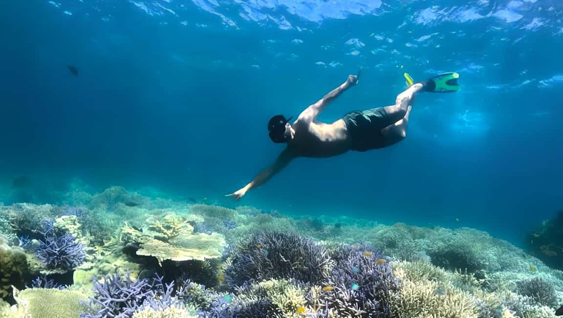 Obraz nr 22 z atrakcji Ekskluzywna jednodniowa wycieczka na różową plażę Lombok i 3 Gilis w Indonezja, przesłany przez organizatora