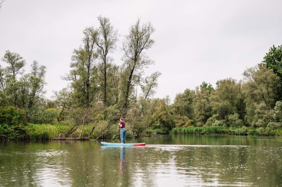 imagen n.º 3 de Biesbosch Alquiler de tablas de SUP actividad en Dordrecht, subida por el proveedor