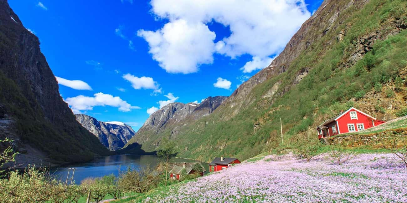 imagen n.º 12 de Bergen: Pueblo Vikingo, Crucero por el Nærøyfjorden y Ferrocarril de Flåm actividad en Flåm, subida por el proveedor