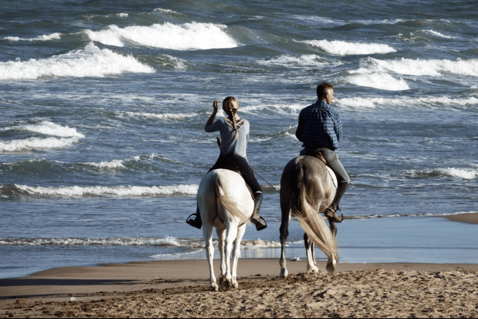 imagen n.º 2 de Casablanca: Paseos a caballo por la playa con traslados al hotel actividad en Tánger, subida por el proveedor