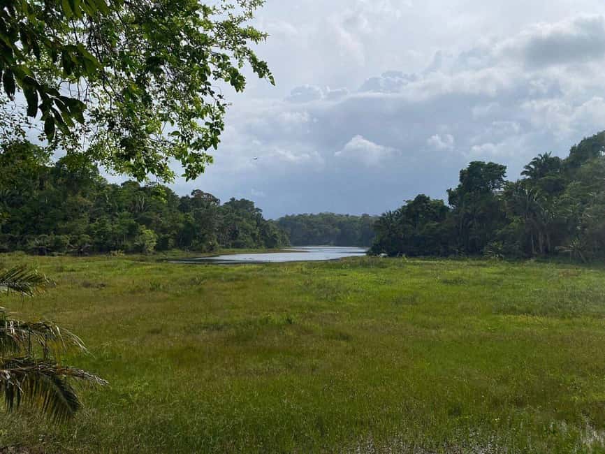 image n.15 of Panama City: Guided Jungle Adventure with Gatun Lake Cruise activity in Colón Province, uploaded by supplier