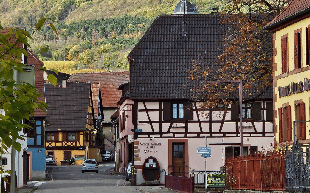 image n.9 of Alsace: Winery Tour and Alsatian Wine Tasting activity in Thann, uploaded by supplier