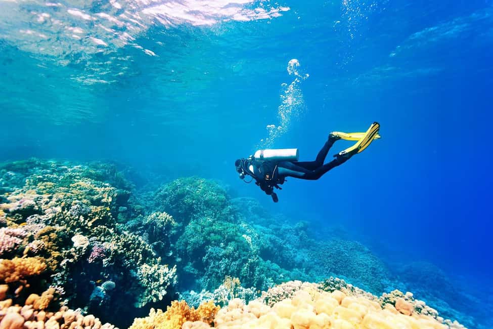 Kemer içindeki Antalya/Kemer: 2 Dalış ve Öğle Yemeği Dahil Scuba Dalış Deneyimi etkinliğinin tedarikçi tarafından yüklenen 3 no'lu görseli