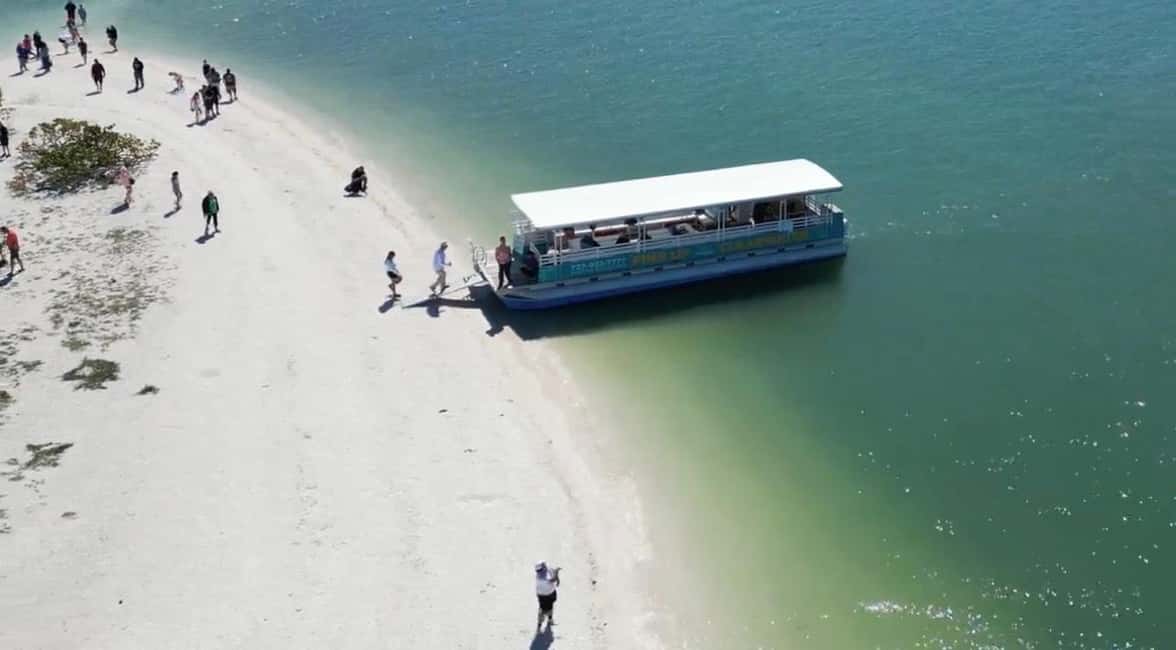 bild nr.5 av Clearwater Beach: Kryssning med delfiner och sandbankar på öar aktivitet i Clearwater, uppladdad av arrangören