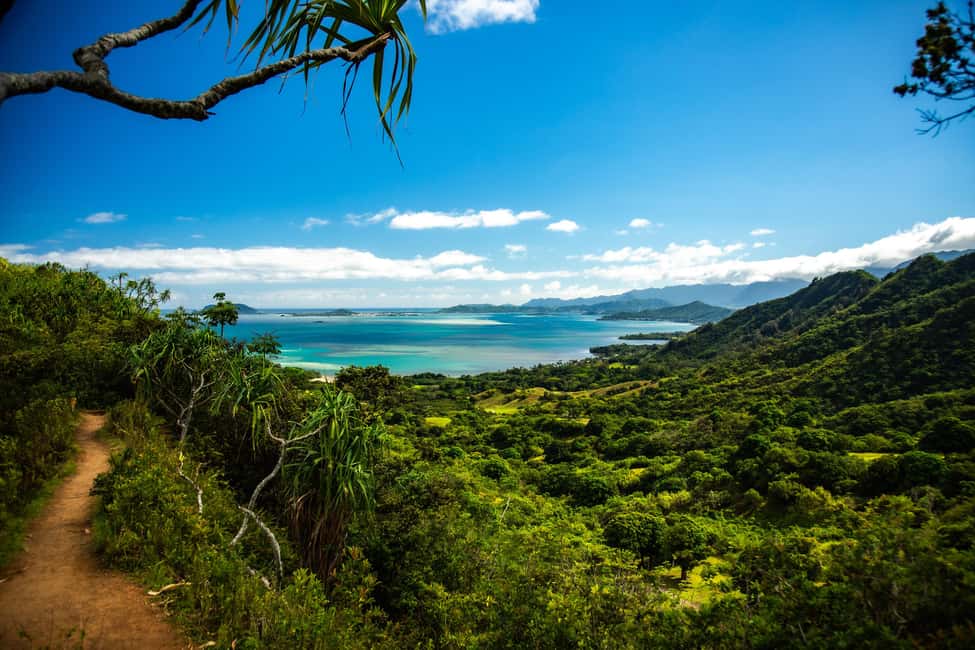 Immagine nº 11 di Oahu: tour di spedizione nella giungla all'aperto di Kualoa attività a Kaneohe, caricata dal fornitore
