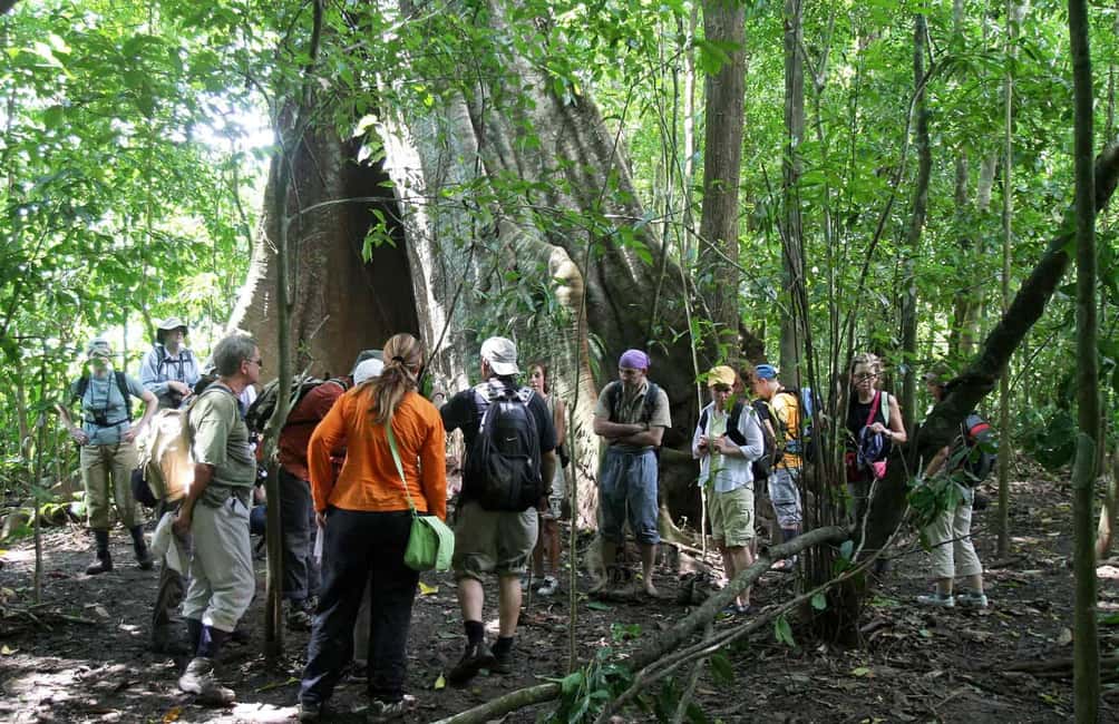 image n.5 of Carara National Park: Best Tour Carara National Park-One Day activity in Puntarenas Province, uploaded by supplier