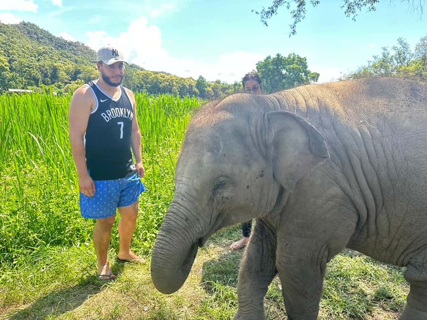 image n.31 of Chiang Mai: Elephant Sanctuary & Waterfall Group Tour activity in Chiang Mai, uploaded by supplier