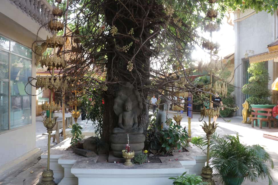 image n.6 of Phnom Penh Private Tour English Local Guide activity in Sihanoukville, uploaded by supplier