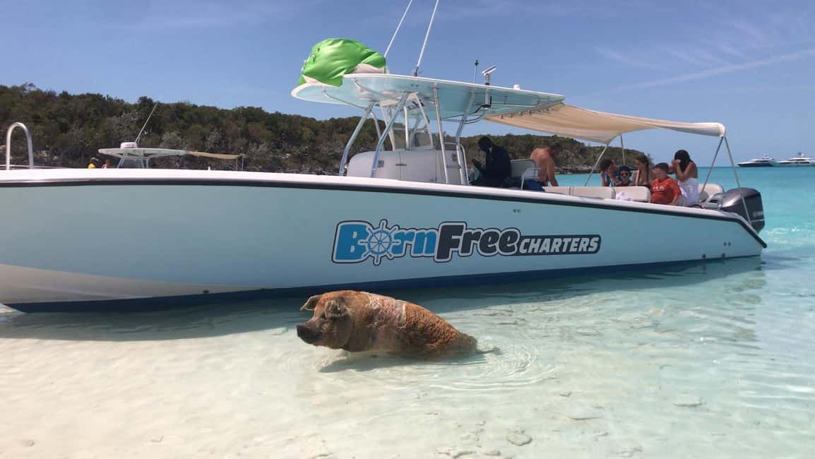 Image N°8 de Nassau : Découvrez l'île d'Exuma et nagez avec des cochons. activité à Exumas, publiée par le prestataire