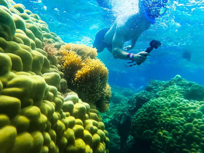 billede nr.18 af aktiviteten Koh Tao: Koh Nangyuan & Hidden Bays snorkeltur med frokost i Thailandbugten, uploadet af udbyder