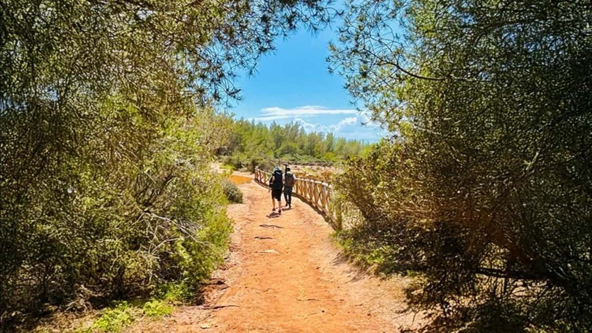 image n.13 of From Faro: Benagil, Marinha, 7 Valleys, Algar Seco Adventure activity in Caramujeira, uploaded by supplier