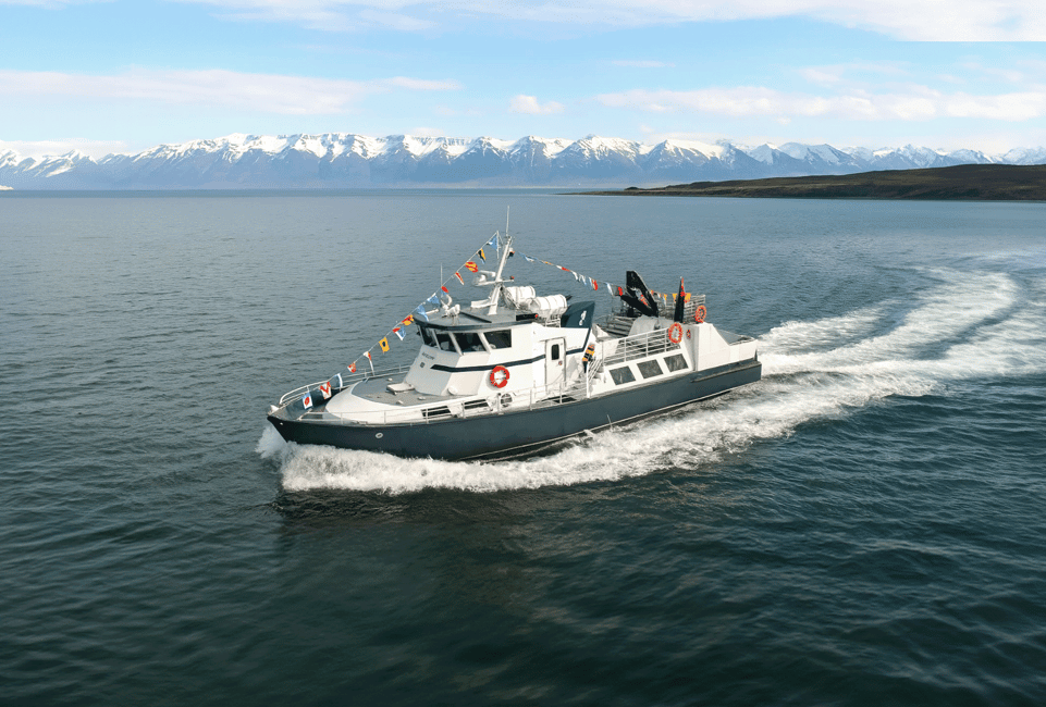 imagen n.º 21 de Húsavík: Excursión familiar y guiada de avistamiento de ballenas actividad en Norðurland Eystra, subida por el proveedor