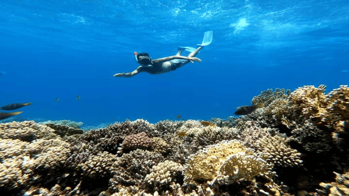 image n.5 of Hurghada: Luxury Cruise Trip to Orange Bay with Lunch activity in Red Sea Governorate, uploaded by supplier