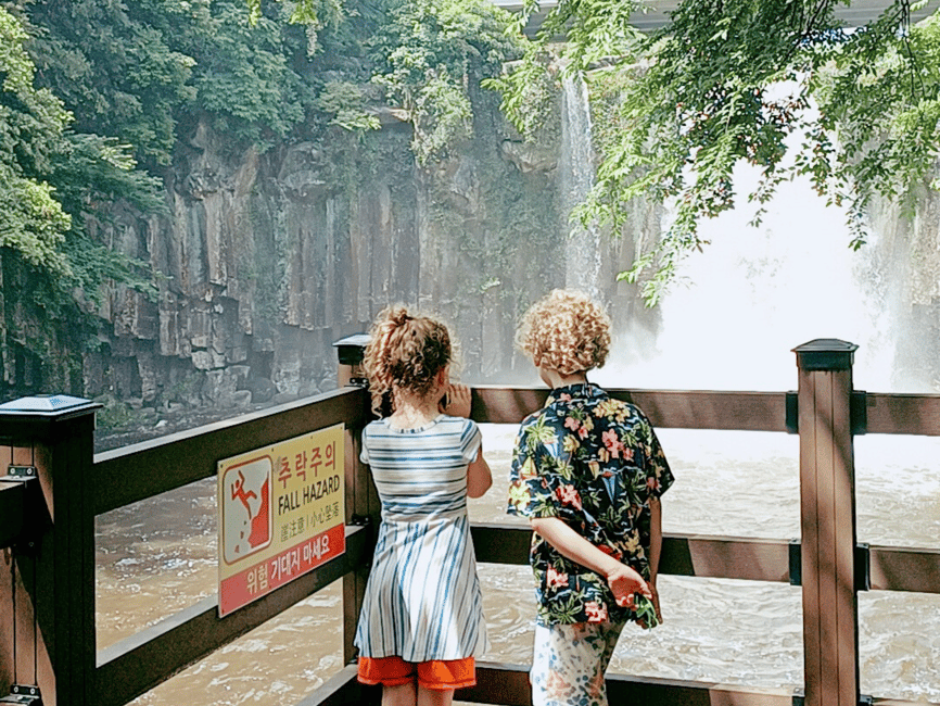 image n.3 of Jeju island : West & South Full-Day Tour activity in Seogwipo-si, uploaded by supplier