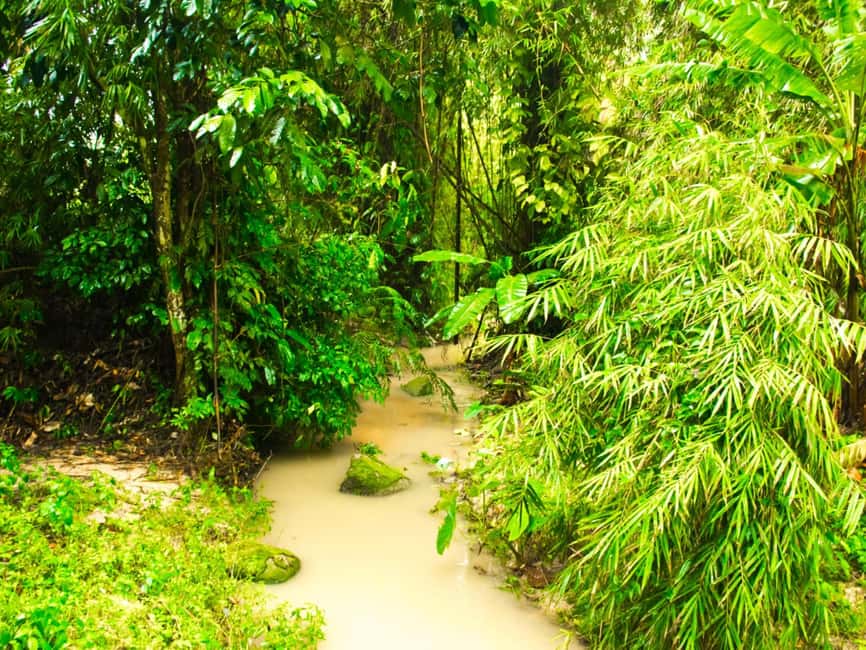 billede nr.12 af aktiviteten Koh Samui: ATV-tur gennem jungle, bjerge og vandfald i Thailandbugten, uploadet af udbyder