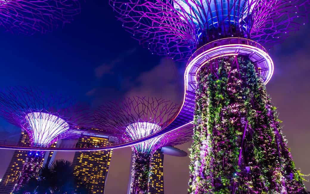 imagen n.º 5 de Noche estrellada en Singapur: crucero, Garden Rhapsody y Spectra actividad en Singapur, subida por el proveedor