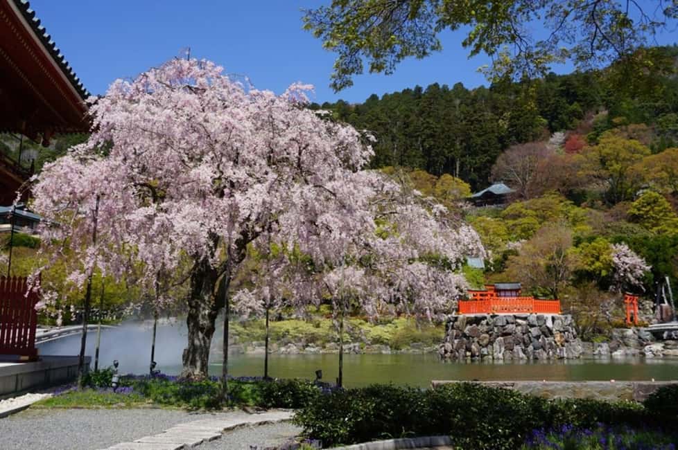 サプライヤーによってアップロードされた、京都の大阪：箕面、勝尾寺、嵐山、平等院（神戸牛ランチ付き）の画像#20
