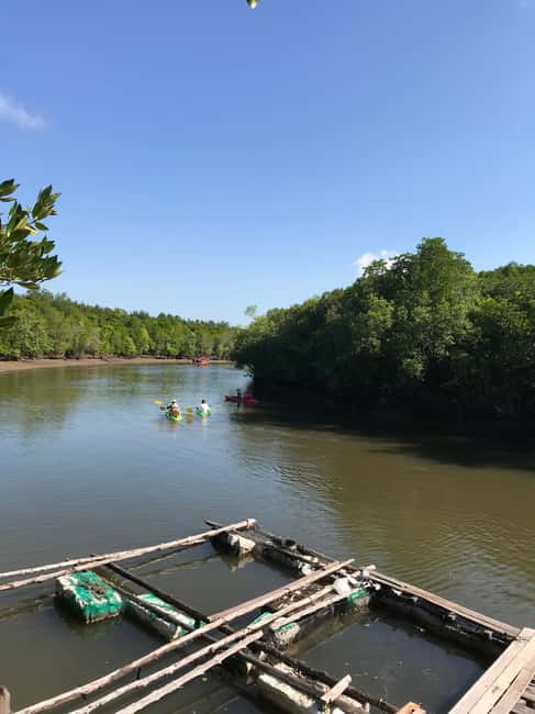 image n.6 of Ko Lanta: Half-Day Mangrove Kayaking Tour with Lunch activity in Tung Yee Peng, uploaded by supplier