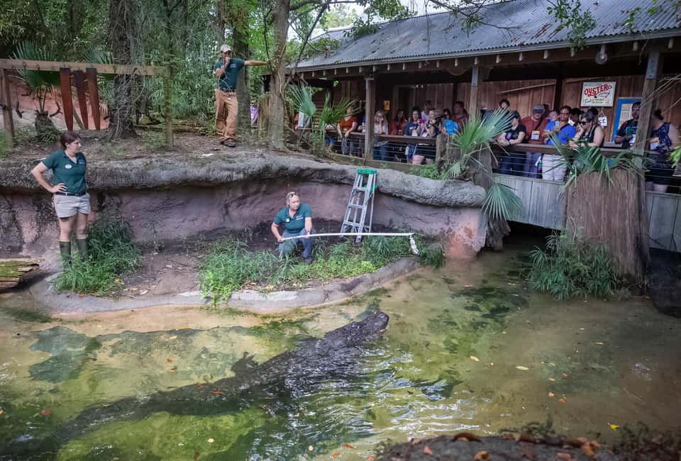 Immagine nº 6 di New Orleans: Biglietto per lo zoo di Audubon e opzione combinata attività a New Orleans, caricata dal fornitore