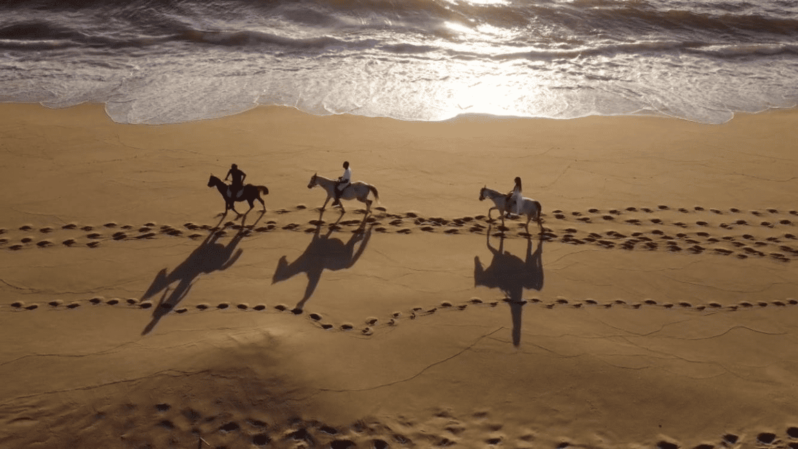 imagem n.18 de Melides: Passeios a cavalo na praia de Melides atividade em Melides, carregada pelo fornecedor