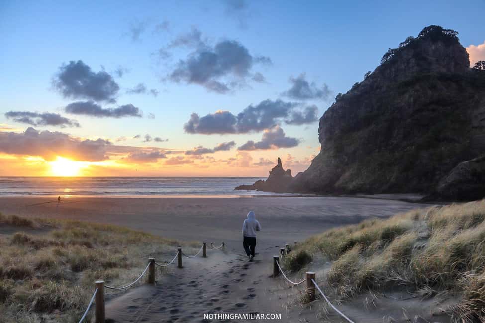 billede nr.5 af aktiviteten West Coast Discovery Piha Beach privat tur i Piha, uploadet af udbyder