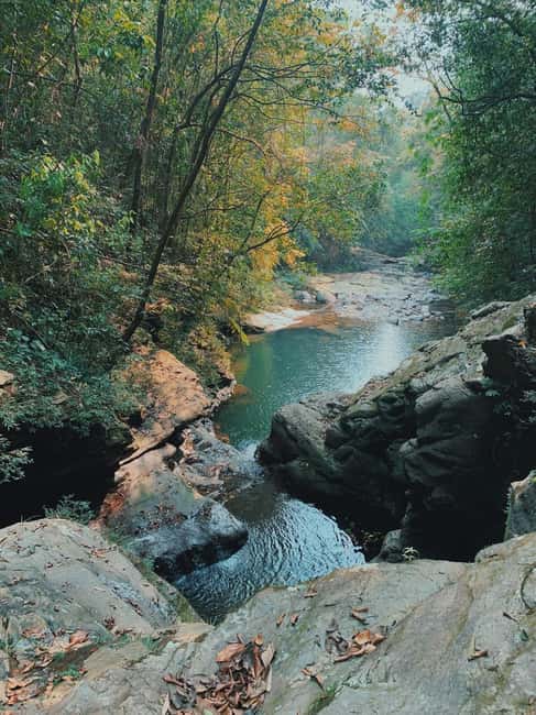 Bach Ma National Park Trekking Tour With Do Quyen Waterfall | GetYourGuide