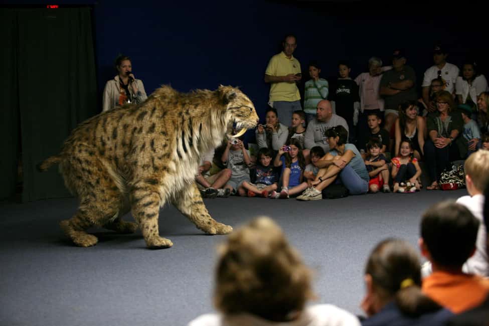 Image N°7 de Los Angeles : billet pour le musée La Brea Tar Pits activité à Los Angeles, publiée par le prestataire