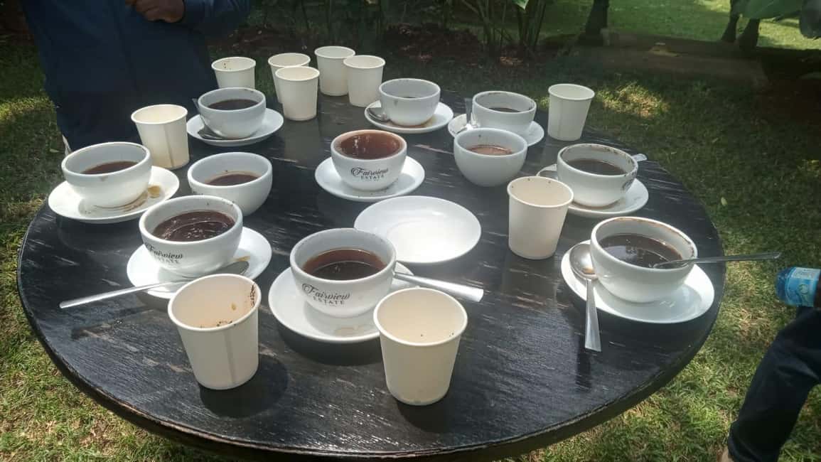 image n.73 of Coffee Farm Tour (Fairview) activity in Kiambu, uploaded by supplier