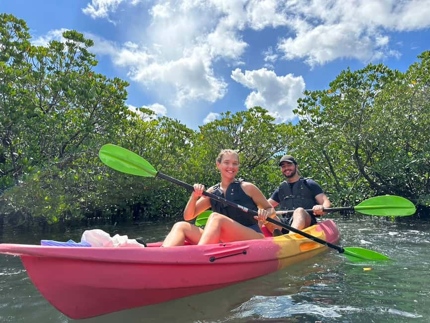 image n.14 of Iriomote island: Mangrove River SUP or Canoe Cruising Tour activity in Taketomi Island, uploaded by supplier