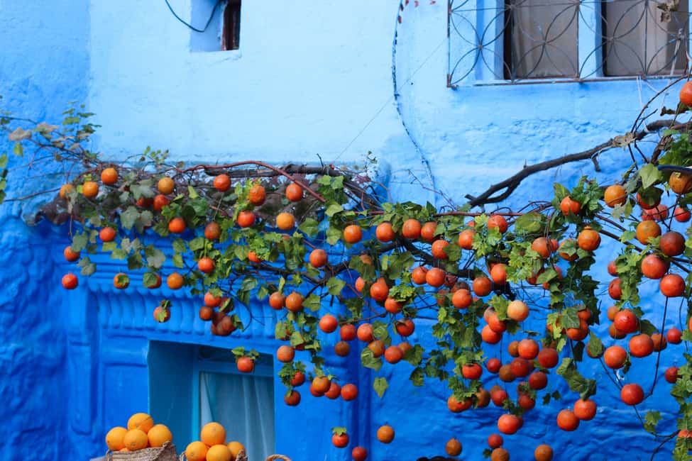 imagen n.º 17 de Desde Tánger: Excursión de un día a Chefchaouen con guía local actividad en Chauen, subida por el proveedor