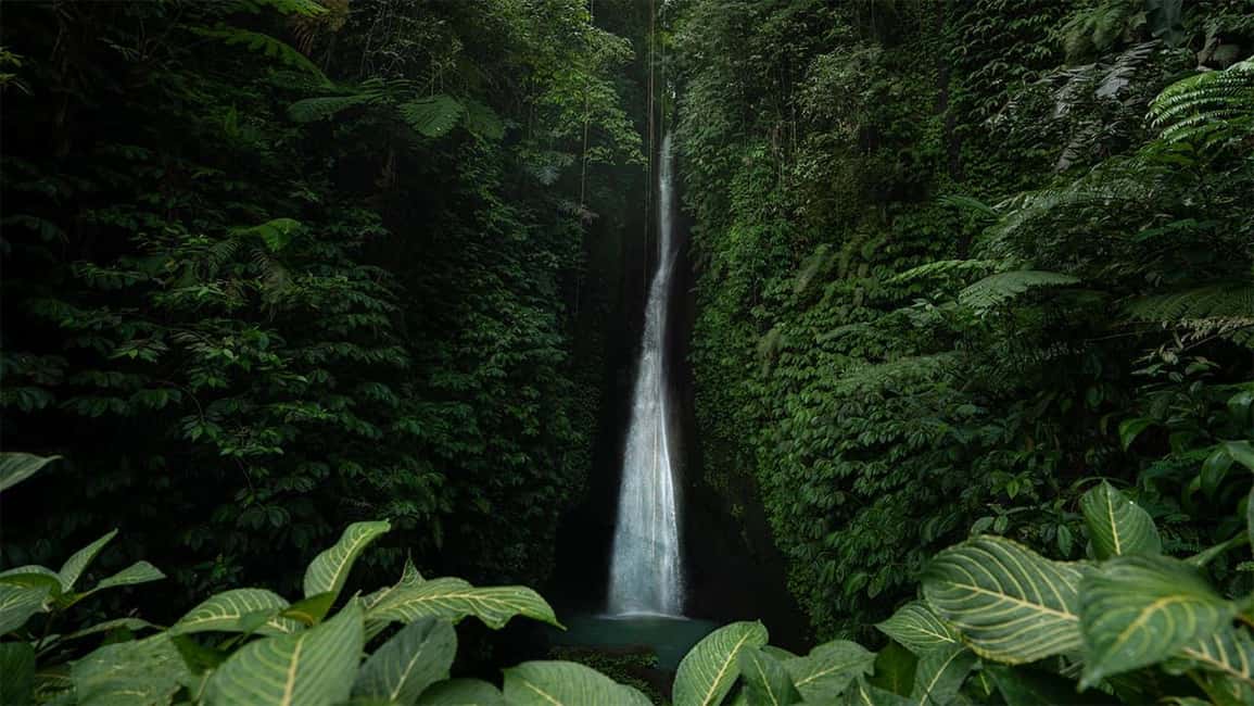 image n.4 of West Bali: Jatiluwih Rice Terrace and Tanah Lot Sunset Tour activity in Jatiluwih, uploaded by supplier