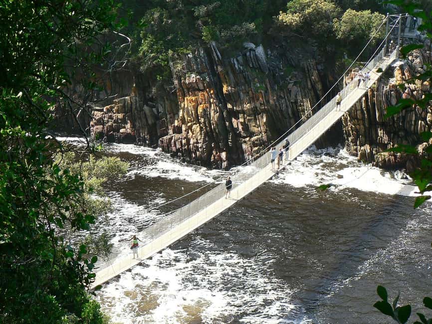 image n.11 of 3 Day Garden Route All-inclusive Private Tour from Cape Town activity in Oudtshoorn, uploaded by supplier