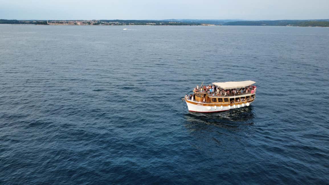 Bild Nr. 6 von Novigrad: Bootstour zur Delfinbeobachtung bei Sonnenuntergang mit Matek Aktivität in Novigrad, hochgeladen vom Anbieter