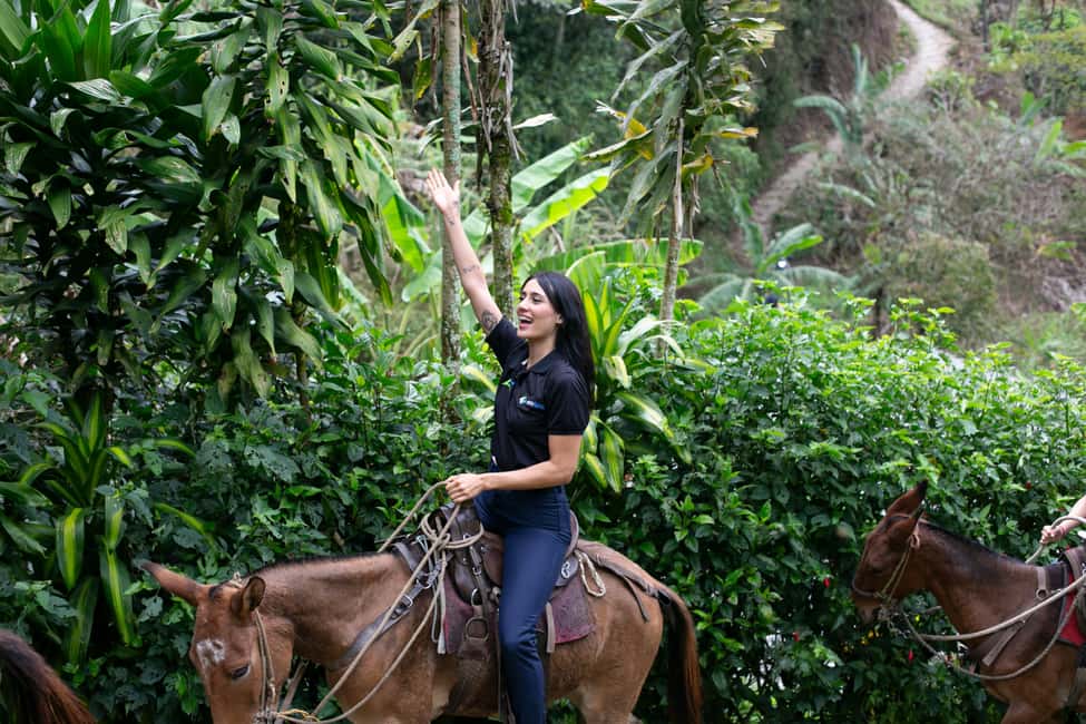 imagem n.68 de Medellín: Tour do café, chegada a cavalo e cana-de-açúcar atividade em Medellín, carregada pelo fornecedor