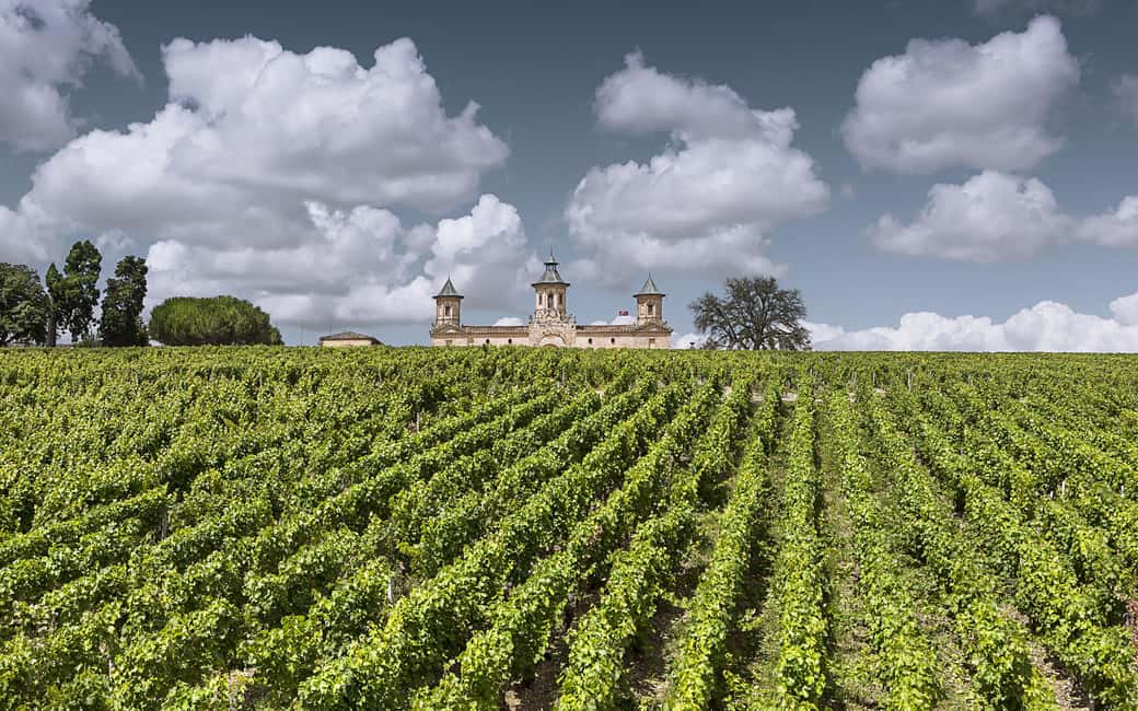 image n.6 of Médoc Morning Wine Tour - Winery & Tastings activity in Bordeaux, uploaded by supplier