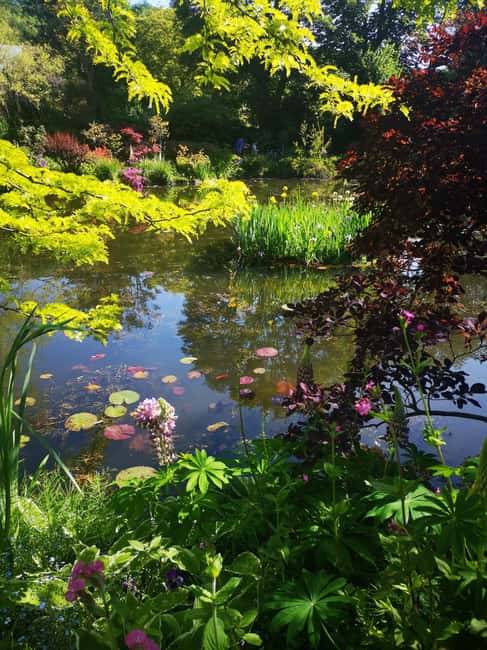 billede nr.3 af aktiviteten Versailles Slot og Giverny Privat guidet tur fra Paris i Paris, uploadet af udbyder