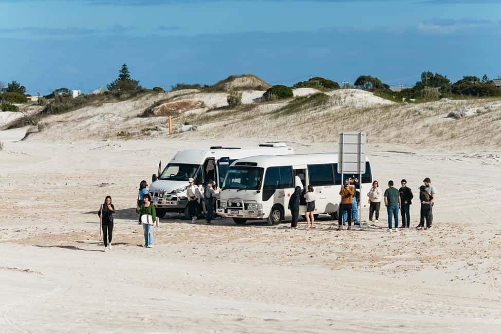 image n.5 of From Perth: The Pinnacles Desert Sunset and Star-Gazing Tour activity in Western Australia, uploaded by supplier