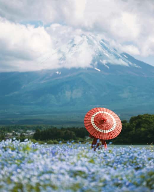 obrázek č.7 aktivity Z Tokia: Mount Fuji Highlight Photo Spots Celodenní výlet do Tokia v destinaci Fujinomiya, nahraný poskytovatelem aktivity