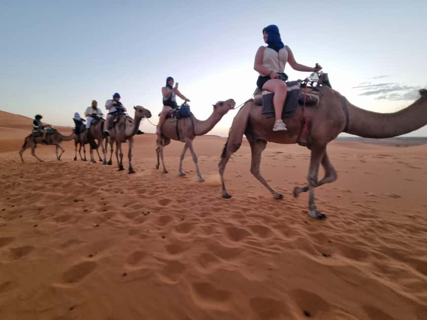 imagem n.14 de Merzouga Pernoite numa tenda berbere e passeio de camelo atividade em Drâa-Tafilalet, carregada pelo fornecedor
