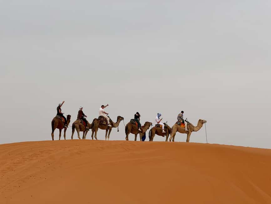 Image N°24 de Marrakech à Fès, circuit de 3 jours dans le désert à dos de chameau et en tente de luxe activité à Marrakech-Safi, publiée par le prestataire
