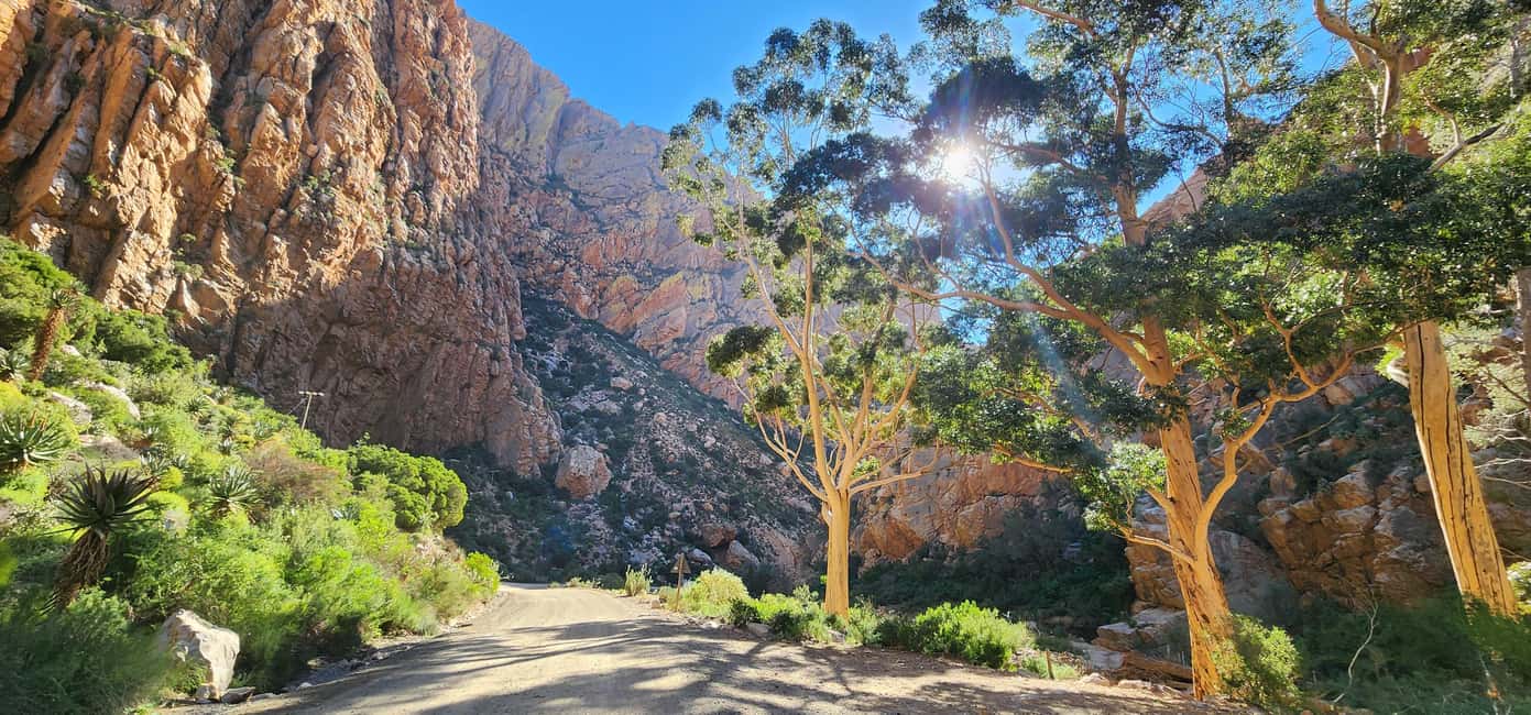 image n.15 of Oudtshoorn: Half-Day Swartberg Pass Private Guided Tour activity in Western Cape, uploaded by supplier