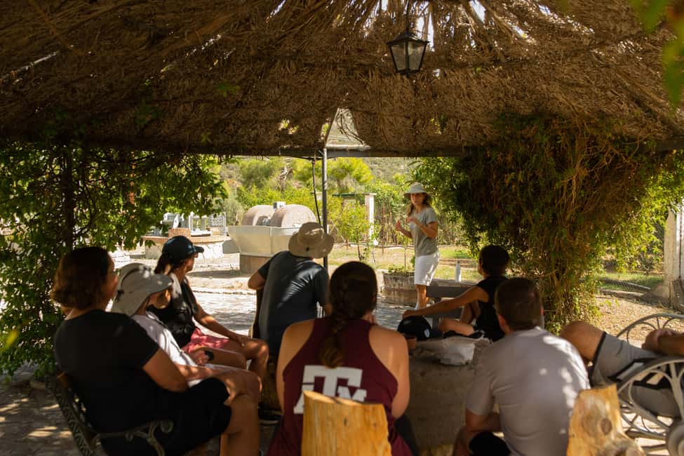Obraz nr 7 z atrakcji Nafplio: Wycieczka po gospodarstwie oliwnym i degustacja oliwy z oliwek w Peloponez, przesłany przez organizatora