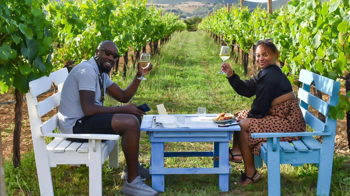 Immagine nº 1 di Alghero: degustazione vini con aperitivo locale in vigna attività a Alghero, caricata dal fornitore