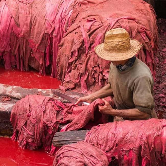 Image N°7 de Fès : Une visite guidée à pied dans la médina historique activité à Fès, publiée par le prestataire