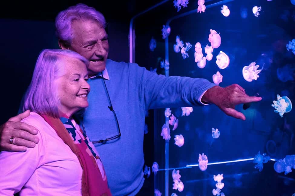 image n.1 of American Dream: SEA LIFE® Aquarium Entry Ticket activity in East Rutherford, uploaded by supplier